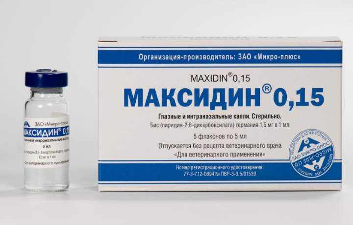 Ампула препарата максидин