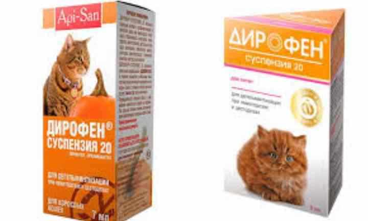 Таблетки Дирофен для кошек и котят: показания к применению, инструкция по использованию
