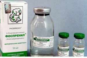 Иммуномодулирующее средство, обладающее эффектом подавления вирусов