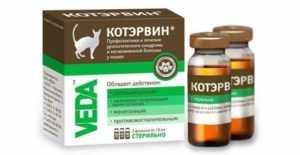 Флаконы капель от цистита котов