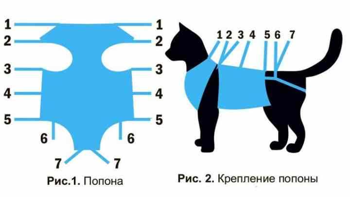 Схема попоны
