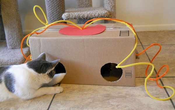 Интерактивная коробочка для кошки