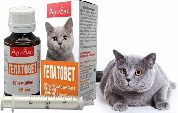Гепатотропный лекарственный препарат для лечения болезней печени у кошек
