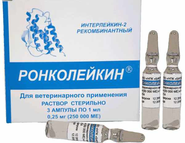 Препарат Ронколейкин предназначен для лечения бактериальных и вирусных инфекций