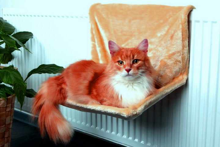 Лежанка на батарею для кота Лежанка на батарею для кота