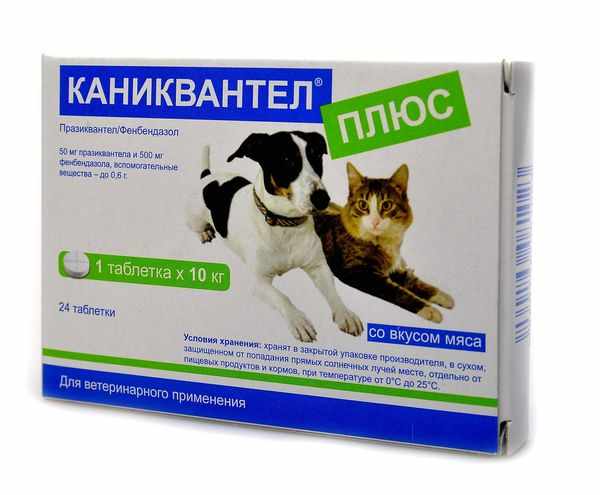 Таблетки от глистов «Каниквантел» Таблетки от глистов «Каниквантел»