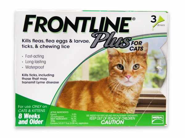 Препарат «Фронтлайн» для кошек