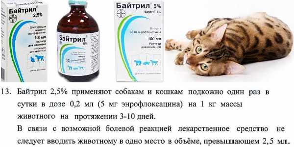Соблюдение дозировки препарата - главный фактор в лечении питомца Соблюдение дозировки препарата - главный фактор в лечении питомца
