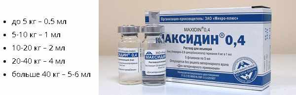 Дозировка применения препарата Максидин