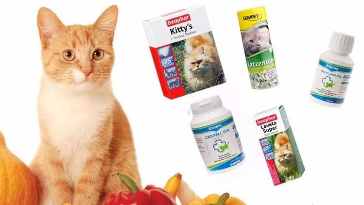 Витамины для роста шерсти котов