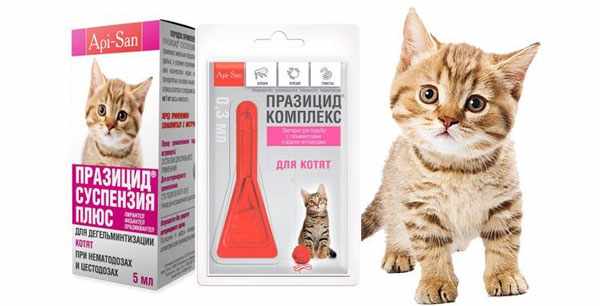 Суспензию Празицид можно давать котятам после 21-го дня жизни