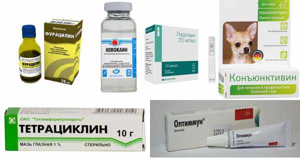Медикаменты для лечения заболевания у кошек Медикаменты для лечения заболевания у кошек
