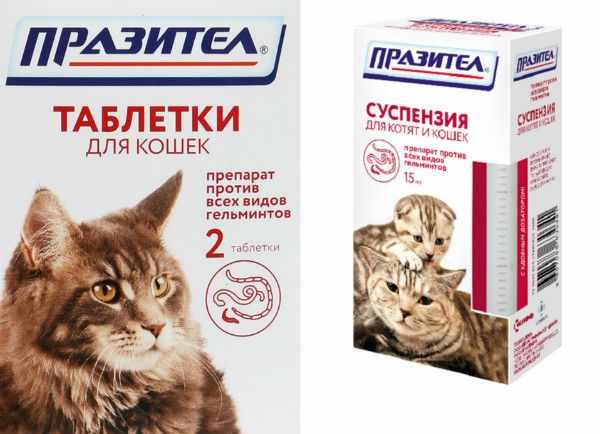 «Паразител» выпускается в виде суспензии и таблеток «Паразител» выпускается в виде суспензии и таблеток