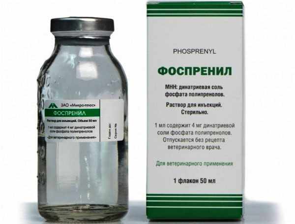 Состав антивирусного препарата Фоспренил Состав антивирусного препарата Фоспренил