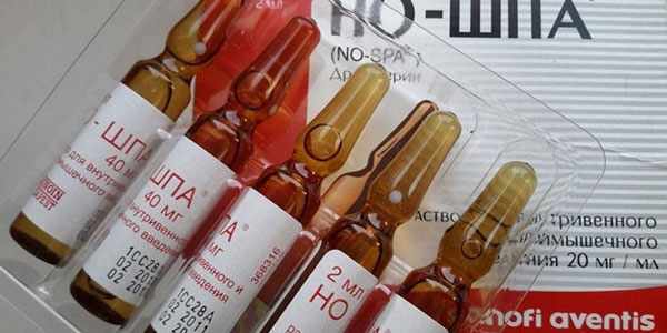Но-шпу используют при сильных приступах боли у питомца Но-шпу используют при сильных приступах боли у питомца