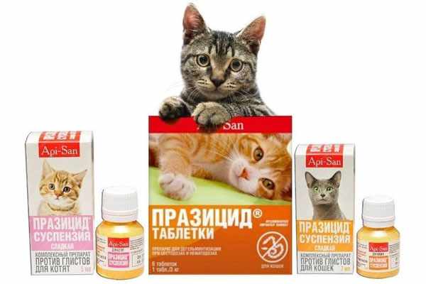 Противопаразитное средство для кошек Празицид