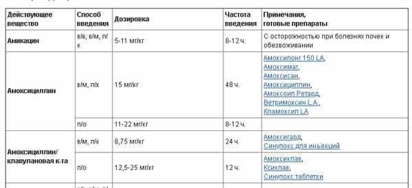 Таблица роста и веса Русского той-терьера