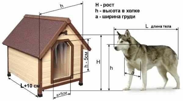 Схема расчета габаритов собаки и вольера Схема расчета габаритов собаки и вольера
