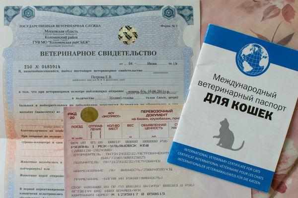 Ветеринарный паспорт питомца