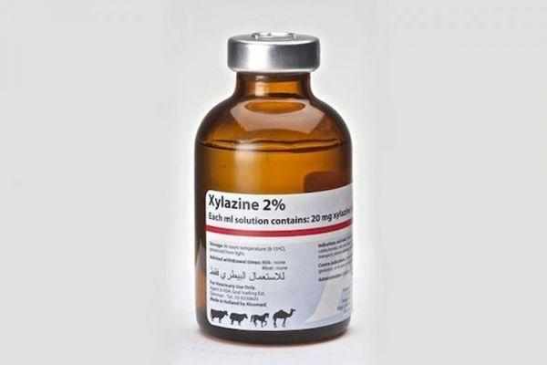 Ксилазин - сильнодействующий седативный препарат