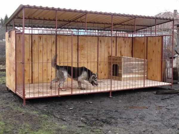 Овчарке необходим просторный вольер Овчарке необходим просторный вольер
