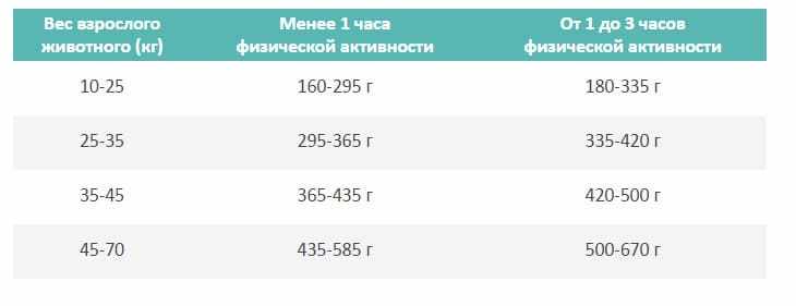 Рекомендации по ежедневному кормлению пожилых псов Рекомендации по ежедневному кормлению пожилых псов