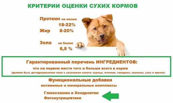 Состав простого сухого корма для собак Состав простого сухого корма для собак