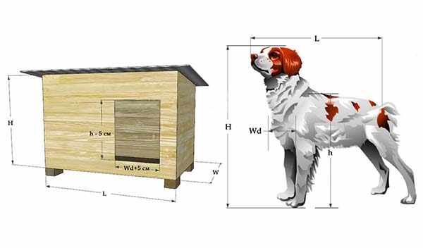 Рассчет размера будки для собаки