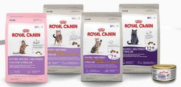 Royal Canin считается неплохой альтернативой натуральным продуктам