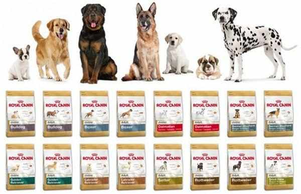 Линейка кормов Royal Canin Линейка кормов Royal Canin