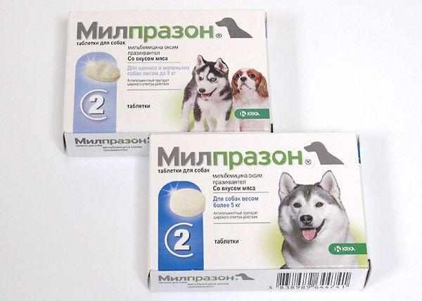 Препарат «Милпразон» для собак