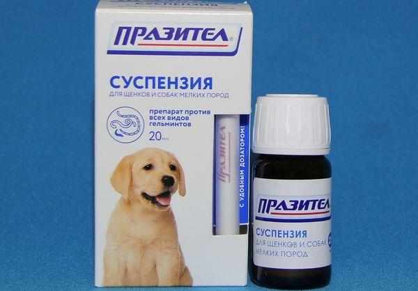 Паразител для собак мелких пород и щенков