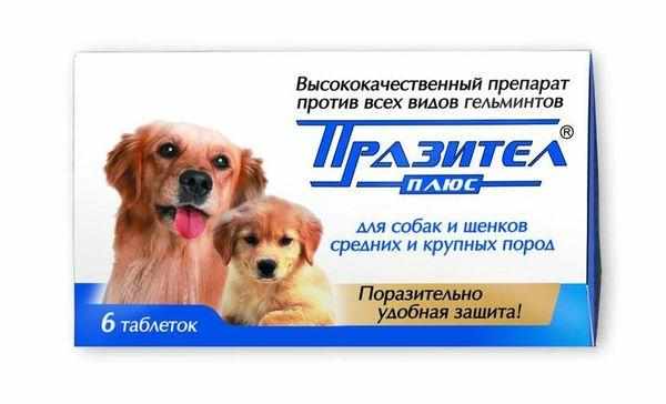 Суспензия для собак средних и крупных пород
