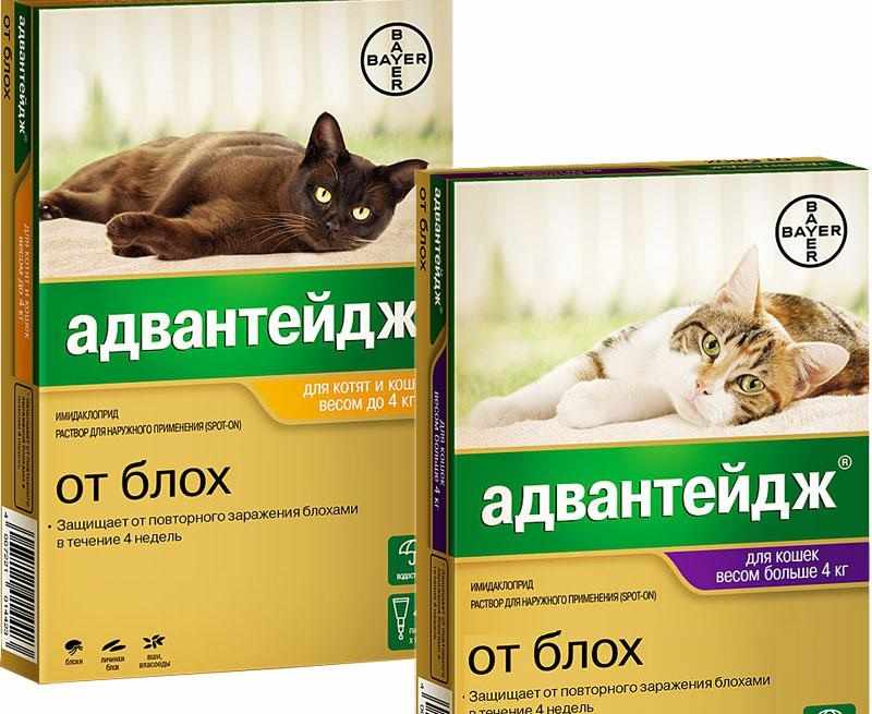 Лучшее средство от клещей для кошек. Адвантейдж от блох кошкам 4кг. (Л) капли Bayer Адвантейдж от блох для кошек весом до 4 кг 0,4 мл. Адвантейдж от блох для кошек до 4 кг. Препараты от блох и гельминтов для кошек.