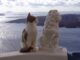 эгейская кошка возле статуи